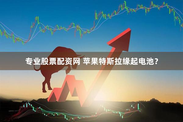 专业股票配资网 苹果特斯拉缘起电池？