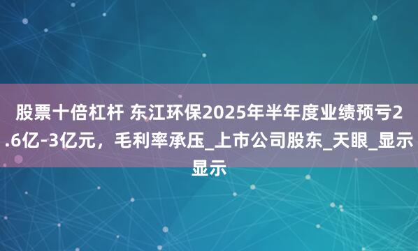 股票十倍杠杆 东江环保2025年半年度业绩预亏2.6亿-3亿元，毛利率承压_上市公司股东_天眼_显示