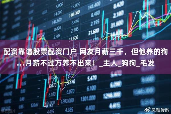 配资靠谱股票配资门户 网友月薪三千，但他养的狗…月薪不过万养不出来！_主人_狗狗_毛发