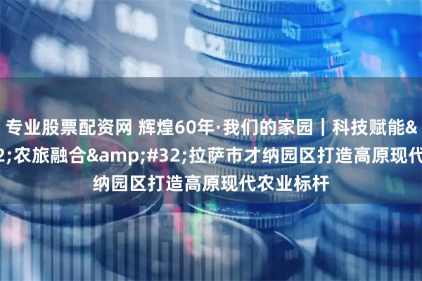 专业股票配资网 辉煌60年·我们的家园｜科技赋能&#32;农旅融合&#32;拉萨市才纳园区打造高原现代农业标杆