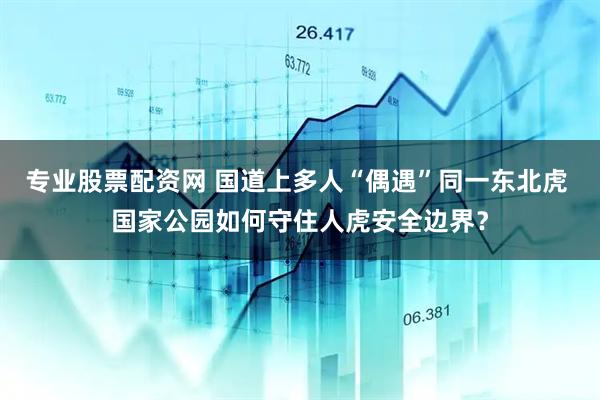 专业股票配资网 国道上多人“偶遇”同一东北虎 国家公园如何守住人虎安全边界？