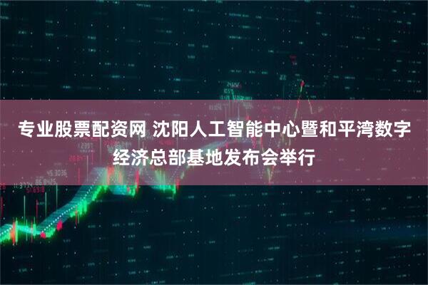 专业股票配资网 沈阳人工智能中心暨和平湾数字经济总部基地发布会举行