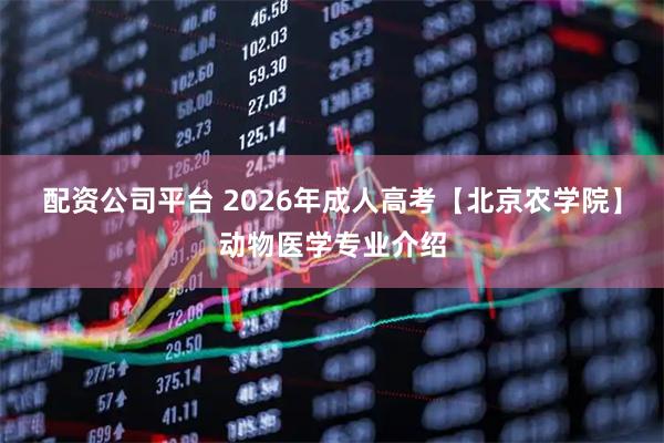 配资公司平台 2026年成人高考【北京农学院】动物医学专业介绍