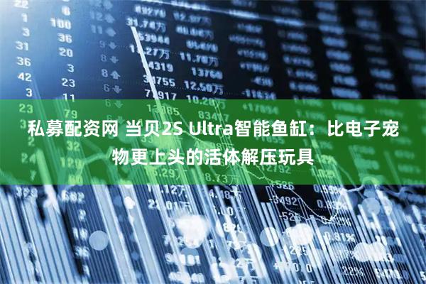 私募配资网 当贝2S Ultra智能鱼缸：比电子宠物更上头的活体解压玩具