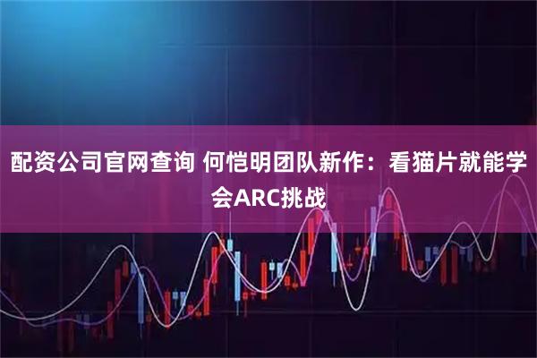 配资公司官网查询 何恺明团队新作：看猫片就能学会ARC挑战